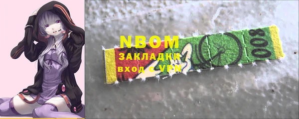 ешки Бородино