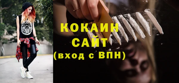 СК Бронницы