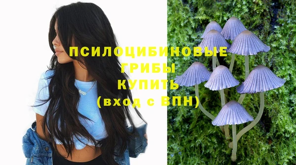 ешки Бородино