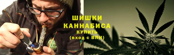 гидра Богданович