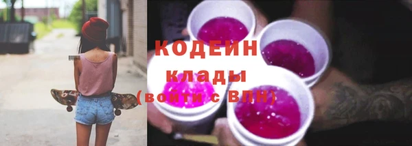 ешки Бородино