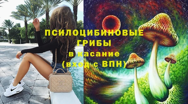 первитин Богородицк