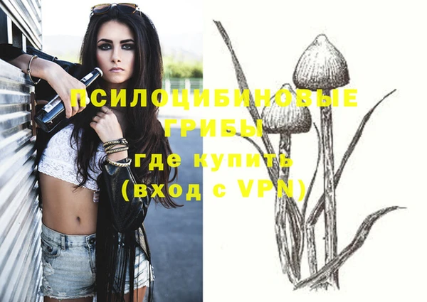 ешки Бородино