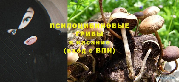 ешки Бородино