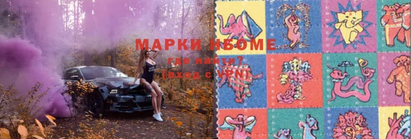 ешки Бородино