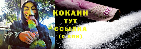 ешки Бородино
