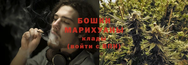 ешки Бородино